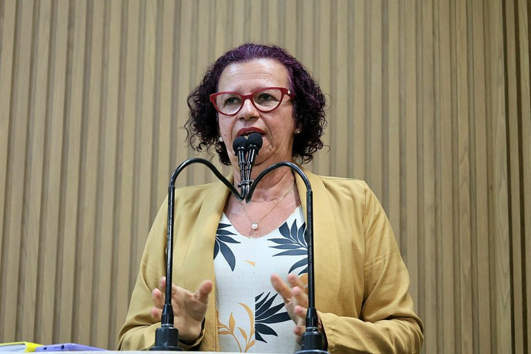 Vereadora Sonia Meire denuncia retirada de abrigos para animais na coroa do meio