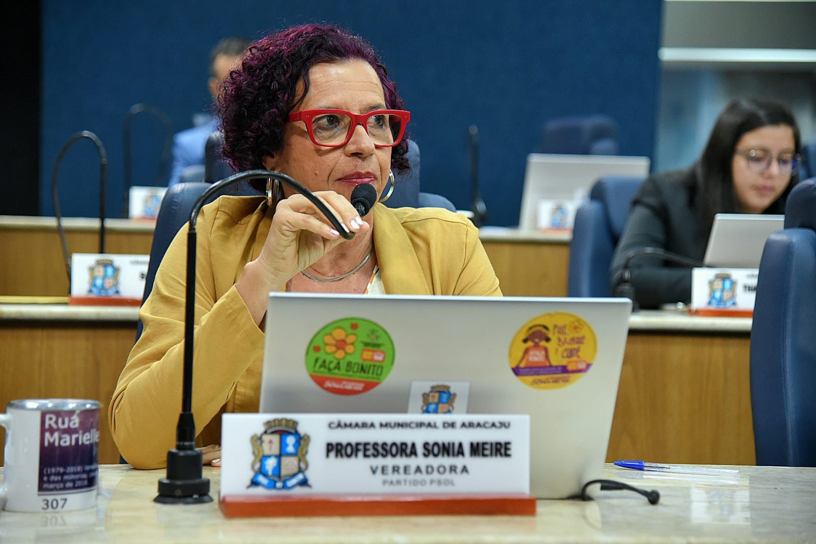 Vereadora Sônia Meire vota contra projeto que promove parcerias público-privadas 