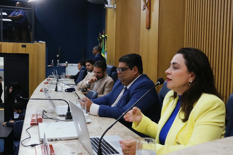 Vereadores recebem secretária de Saúde para prestação de contas do 1º quadrimestre de 2025