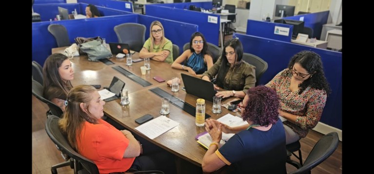 Procuradoria da Mulher da Câmara Municipal de Aracaju realiza reunião de planejamento 
